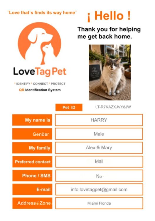 Harry search flyer