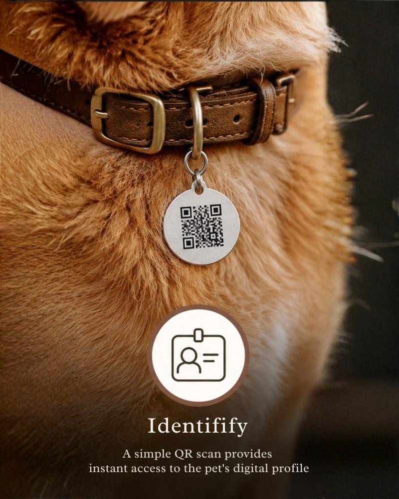 Identify